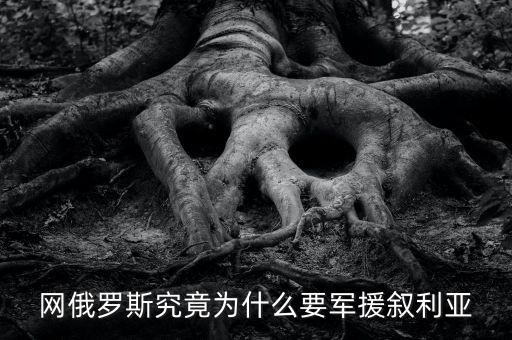 網(wǎng)俄羅斯究竟為什么要軍援敘利亞