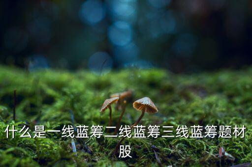 什么是一線藍籌二線藍籌三線藍籌題材股