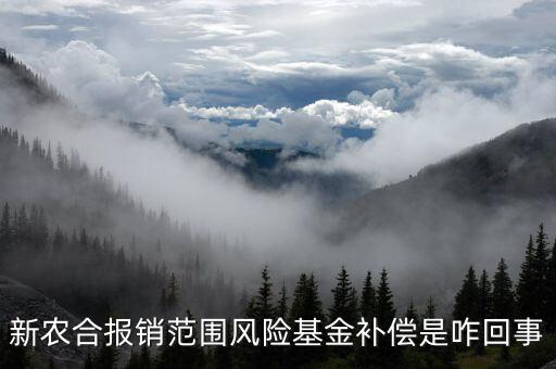 什么是政府風險補償基金，政府風險補償基金屬于哪個企業(yè)會計科目