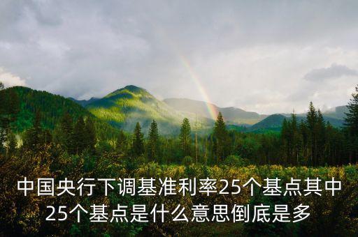 中國央行下調(diào)基準利率25個基點其中25個基點是什么意思倒底是多