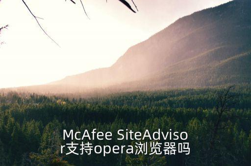 McAfee SiteAdvisor支持opera瀏覽器嗎