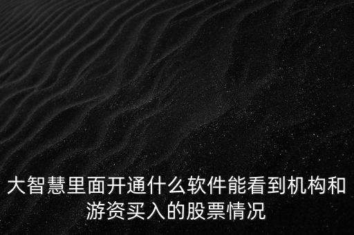 大智慧里面開通什么軟件能看到機構(gòu)和游資買入的股票情況