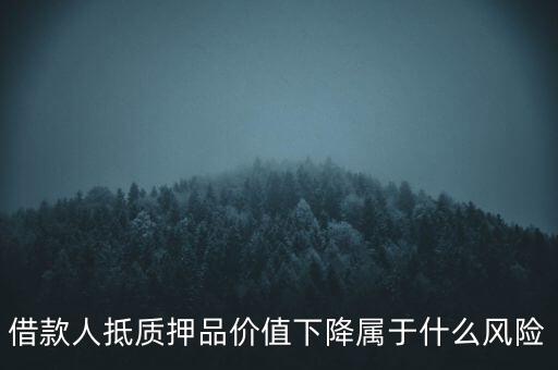 為什么抵押物貶值的風(fēng)險(xiǎn)由貸款人承擔(dān)，借款人抵質(zhì)押品價(jià)值下降屬于什么風(fēng)險(xiǎn)