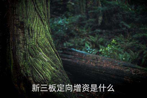 什么叫定向增資，定向增資的介紹