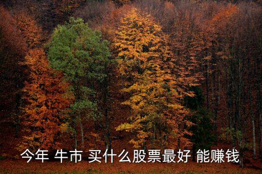 今年 牛市 買什么股票最好 能賺錢