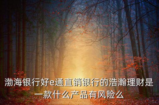 渤海銀行好e通直銷(xiāo)銀行的浩瀚理財(cái)是一款什么產(chǎn)品有風(fēng)險(xiǎn)么