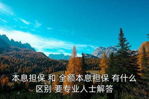 本息擔(dān)保 和 全額本息擔(dān)保 有什么區(qū)別 要專業(yè)人士解答