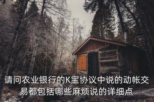 請問農(nóng)業(yè)銀行的K寶協(xié)議中說的動帳交易都包括哪些麻煩說的詳細(xì)點