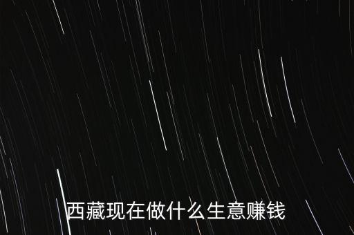 西藏現(xiàn)在做什么生意賺錢