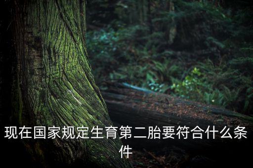 現(xiàn)在國家規(guī)定生育第二胎要符合什么條件