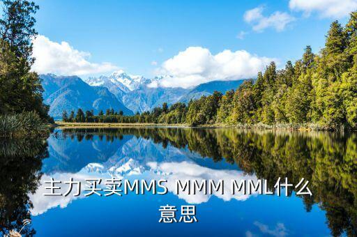 mmm停盤是什么意思，主力買賣MMS MMM MML什么意思