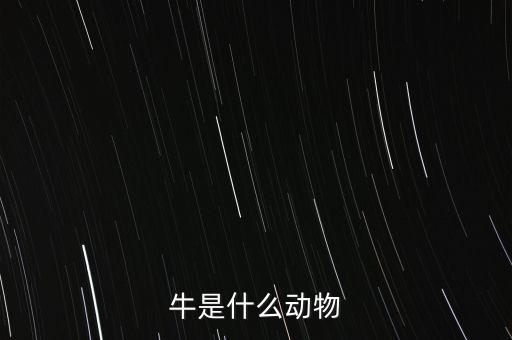 牛是什么動(dòng)物