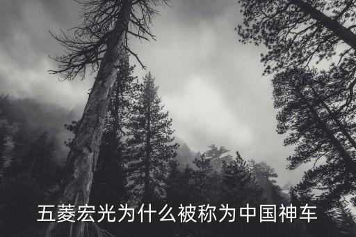 五菱宏光為什么被稱為中國神車