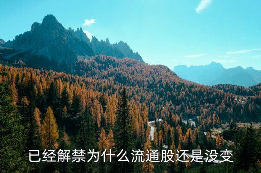 已經(jīng)解禁為什么流通股還是沒變