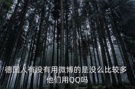 國(guó)外不用微博用什么呀，用什么軟件可以跟全世界的人交流