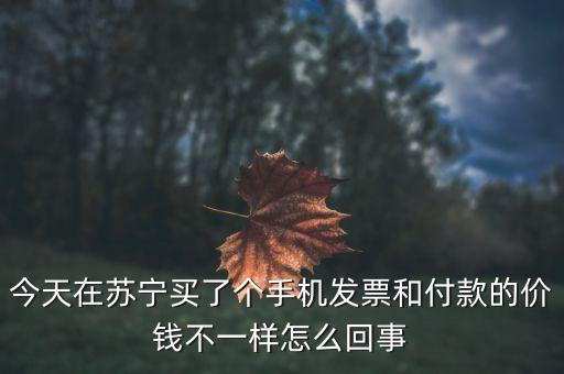 今天在蘇寧買(mǎi)了個(gè)手機(jī)發(fā)票和付款的價(jià)錢(qián)不一樣怎么回事