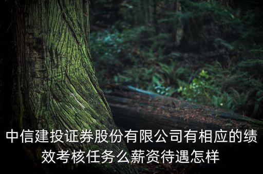 中信建投證券股份有限公司有相應(yīng)的績效考核任務(wù)么薪資待遇怎樣