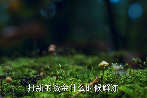 打新的資金什么時(shí)候解凍