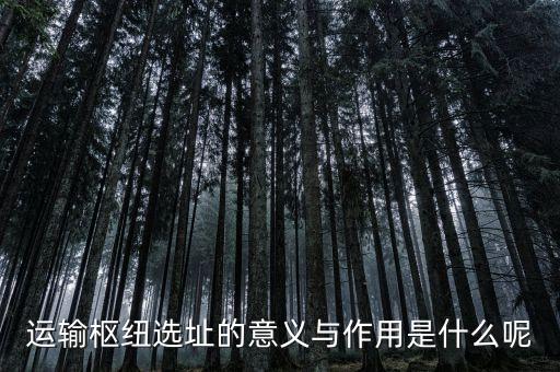 運輸樞紐選址的意義與作用是什么呢