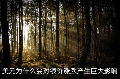 為什么美元漲白銀跌，美元為什么會對銀價漲跌產(chǎn)生巨大影響