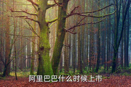 阿里巴巴什么時(shí)候上市