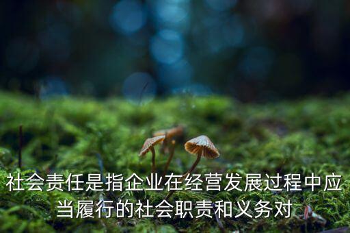 社會(huì)責(zé)任是指企業(yè)在經(jīng)營(yíng)發(fā)展過(guò)程中應(yīng)當(dāng)履行的社會(huì)職責(zé)和義務(wù)對(duì)