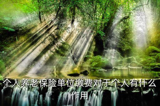 個人養(yǎng)老保險單位繳費對于個人有什么作用