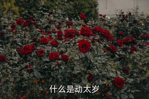 什么是動太歲