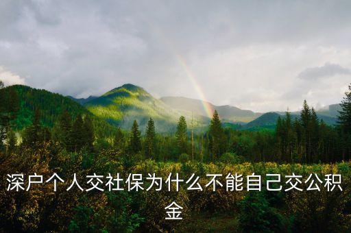 深圳海關(guān)為什么不繳納公積金，深圳特區(qū)各個(gè)廠為什么都沒(méi)有給員工交納住房基金