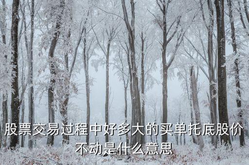 股票交易過程中好多大的買單托底股價不動是什么意思
