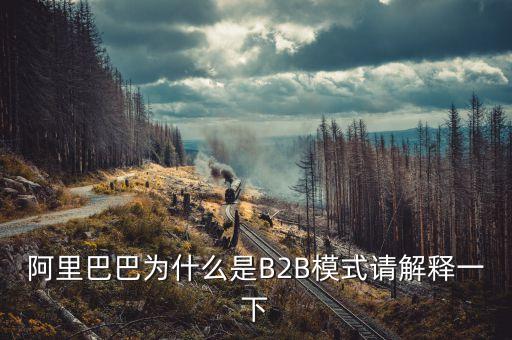 阿里巴巴為什么是B2B模式請解釋一下