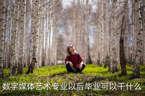 數(shù)字媒體藝術(shù)專業(yè)以后畢業(yè)可以干什么