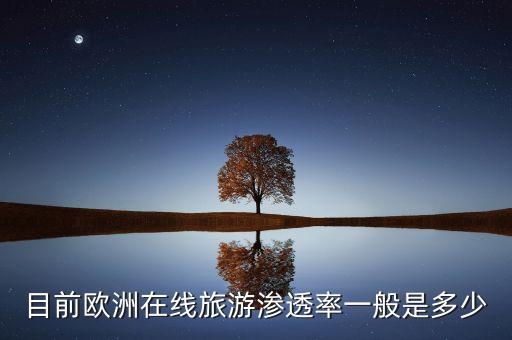 目前歐洲在線旅游滲透率一般是多少