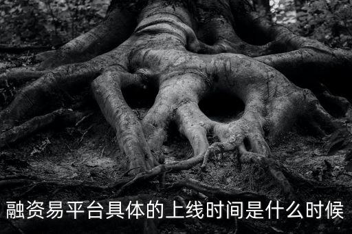 融資易平臺具體的上線時(shí)間是什么時(shí)候