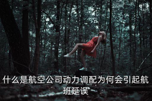 航空運(yùn)力是什么，什么事航空運(yùn)輸業(yè)的運(yùn)力