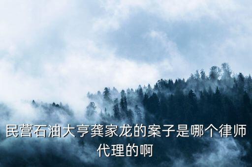 民營石油大亨龔家龍的案子是哪個律師代理的啊