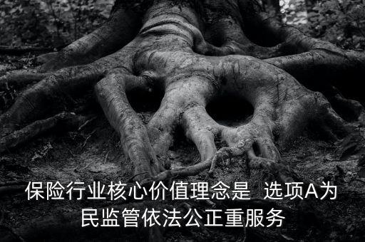 保險(xiǎn)行業(yè)核心價(jià)值理念是  選項(xiàng)A為民監(jiān)管依法公正重服務(wù)