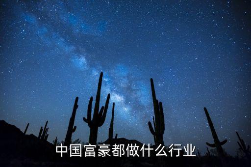 中國富豪都做什么行業(yè)