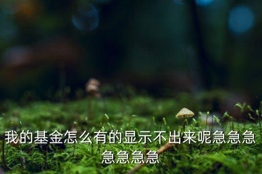 我的基金怎么有的顯示不出來(lái)呢急急急急急急急