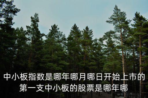 上證a股000002什么時(shí)候上市的，中小板指數(shù)是哪年哪月哪日開始上市的第一支中小板的股票是哪年哪