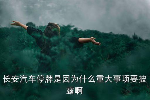 長安汽車停牌是因?yàn)槭裁粗卮笫马?xiàng)要披露啊