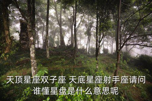 天頂星座雙子座 天底星座射手座請問誰懂星盤是什么意思呢