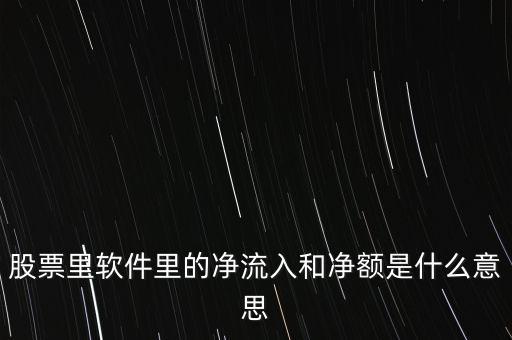 股票凈額是什么意思，股票中什么叫銷售收入凈額