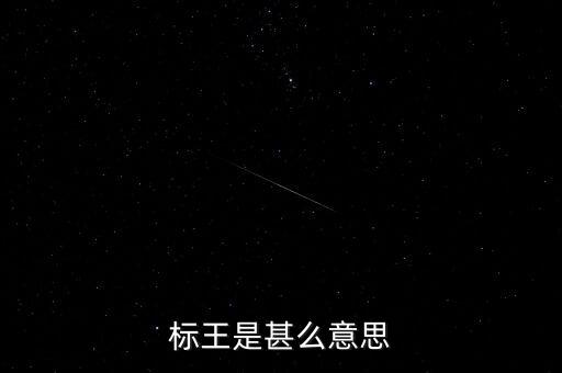 標王是甚么意思