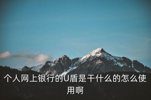 個(gè)人網(wǎng)上銀行的U盾是干什么的怎么使用啊