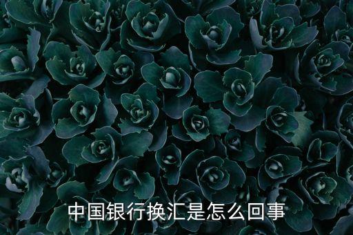 中國(guó)銀行的外匯業(yè)務(wù)為什么突出，央行的公開市場(chǎng)業(yè)務(wù)為什么以外匯買賣為主真的有點(diǎn)不明白難道是