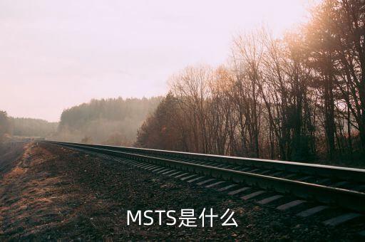 MSTS是什么