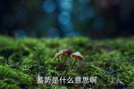 整理蓄勢(shì)格局什么意思，整理蓄勢(shì)格局觀望為主什么意思