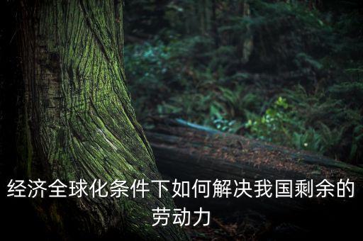 經(jīng)濟全球化條件下如何解決我國剩余的勞動力