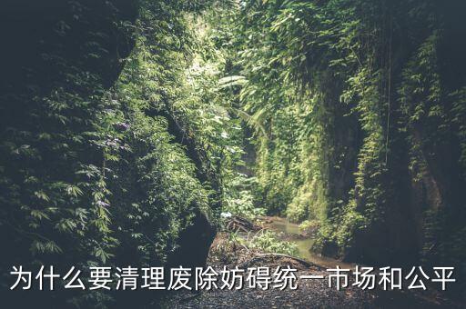 妨礙市場(chǎng)的有效出清是什么意思，為什么要清理廢除妨礙統(tǒng)一市場(chǎng)和公平